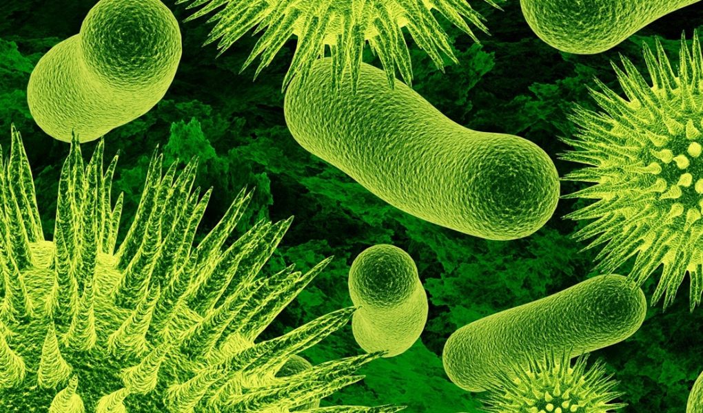 What role do MICROORGANISMS play in our health? : Alkaline Diet
